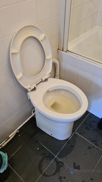  verstopping toilet Boskoop